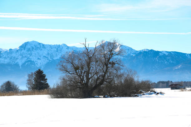 Snowscape in Benediktbeuren, Bavaria, Kochel am See