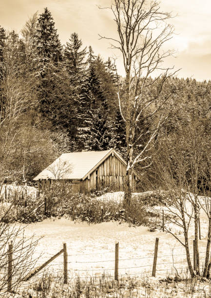 istock old wooden hut 1131337306