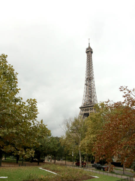 istock Eiffel Tower seen between the trees , Paris France 1131339435