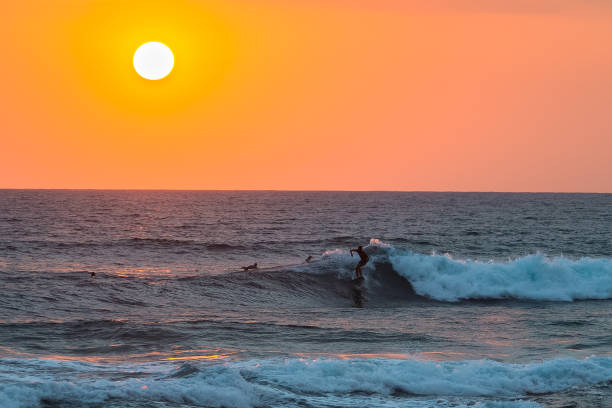 Surfers. Hikkaduwa, Sri Lanka.