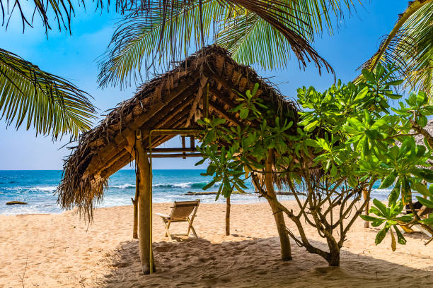 istock Tangalle beach. Sri Lanka. 1131345096