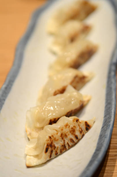 istock Fried stuffed gyoza dumplings 1131345341