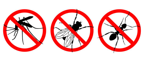 No insects Warning sign NO INSECTS. Prohibited sign. Set icons: NO MOSQUITOES; NO ANTS, NO FLIES. Symbol for informational and institutional sanitation and related care extreem weer stock illustrations