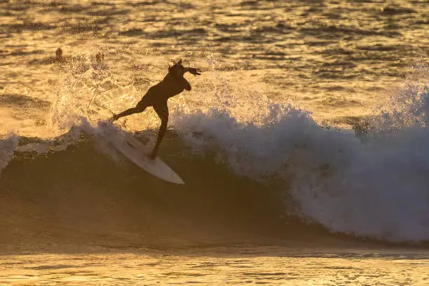 Photo of Surfers. Hikkaduwa, Sri Lanka.