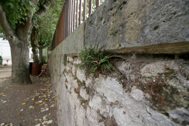istock French Winery in the Loire Valley, Stone wall with greenery 1131346597