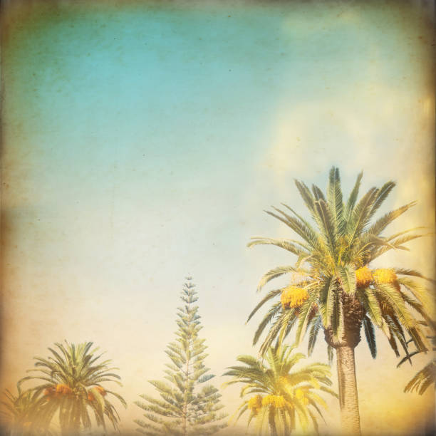 istock Blue sky and palm trees vintage style, summer background 1131346632