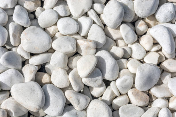istock White decorative stones as a decorative floor design in the garden 1131346693