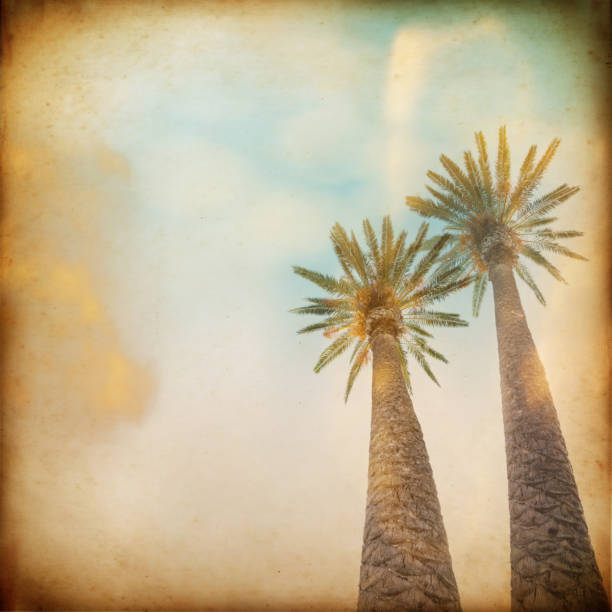 istock Blue sky and palm trees view from below, vintage style, summer background 1131347014