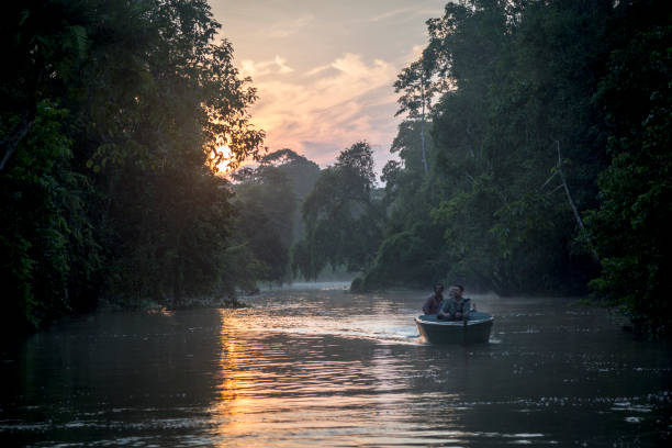Tourist boats in Kinabatangan River Kinabatangan, Malaysia- 08/15/2018: Group of ecological tourists sailing in tourist boats observing and portraying the fauna of the Kinabatagan river in the island of Borneo kinabatangan river stock pictures, royalty-free photos & images
