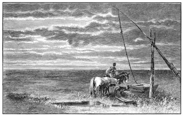 Hortobágy (The Puszta) ,Hungary ,is one of Europe's largest expanses of protected prairie Illustration of a Hortobágy (The Puszta) ,Hungary is one of Europe's largest expanses of protected prairie plateau drawing stock illustrations