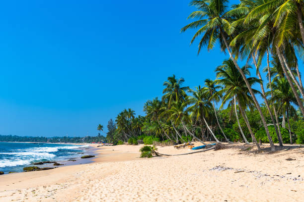 istock Tangalle beach. Sri Lanka. 1131352147