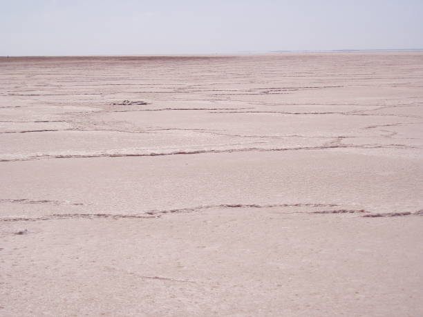 istock Tunisia salt lake 1131353543