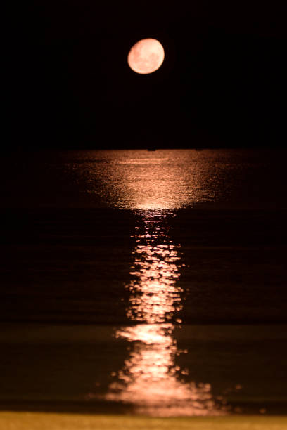 Moon Over the Sea