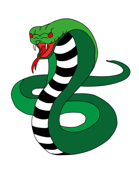 cobra snake kolorowe - tribal tattoo wzory - india guru symbol om symbol stock illustrations