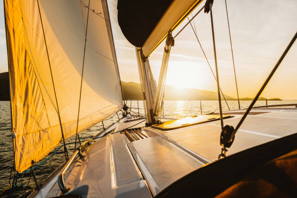 istock Sailing with sailboat at sunset 1131358147