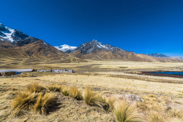 altopiano sul passo nelle ande - block the americas mountain peak plateau foto e immagini stock