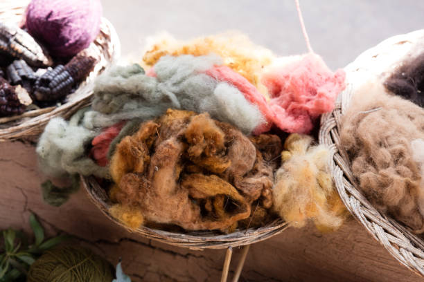 istock cotton factory in Peru 1131359444