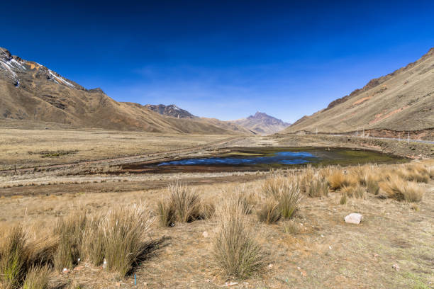 A small shallow lake on a high mountain pass in the center of the Andes.