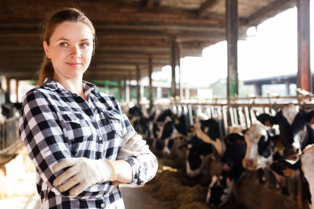 istock Female farmer on dairy farm 1131361470