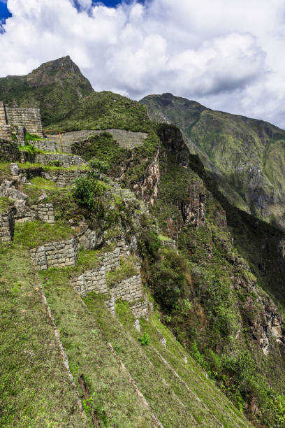 istock The green slopes of Machu Picchu 1131362570