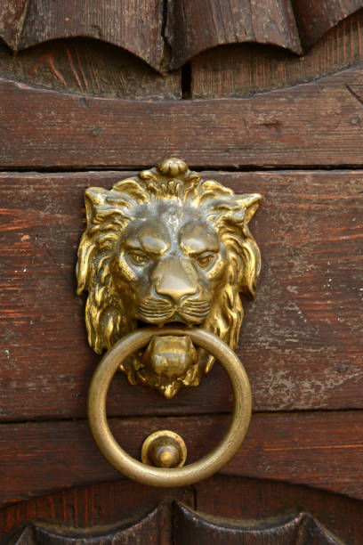 istock Door knocker in the Netherlands 1131362876