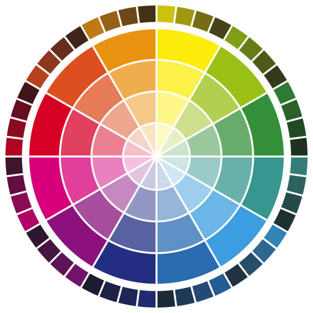 ilustrações, clipart, desenhos animados e ícones de cor roda doze cores - paleta de cores