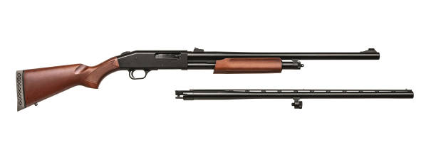 istock Shotgun isolated on white back 1131366900