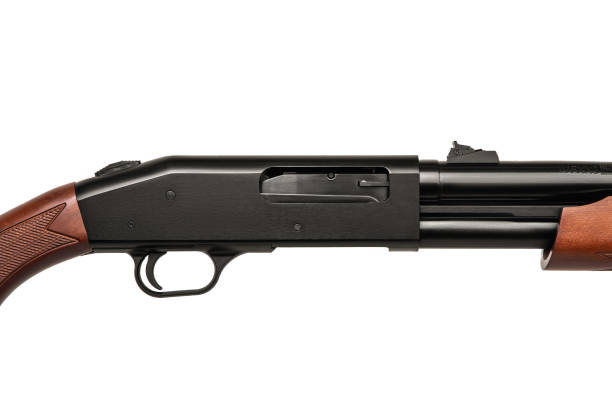 istock Shotgun isolated on white back 1131366960