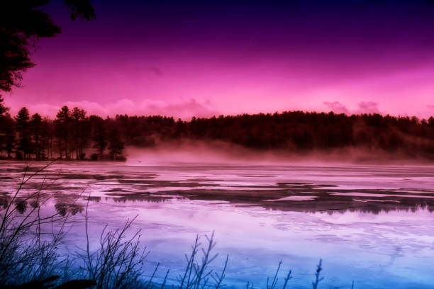 abstract colors in a winter landscape - fog tree purple winter imagens e fotografias de stock