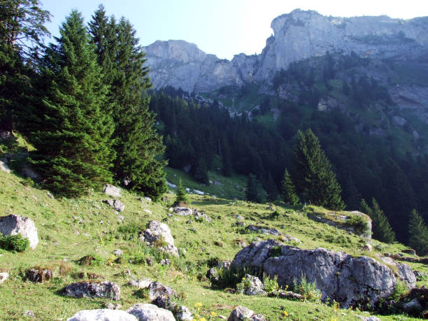 istock Stones and rocks of Alpstein mountain range 1131368618