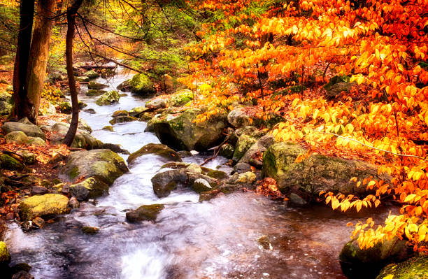 istock Burr Pond State Park New England Autumn 1131368654