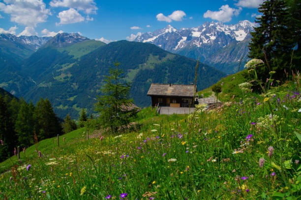 istock commeire in orsieres ,valais,swiss 1131373331