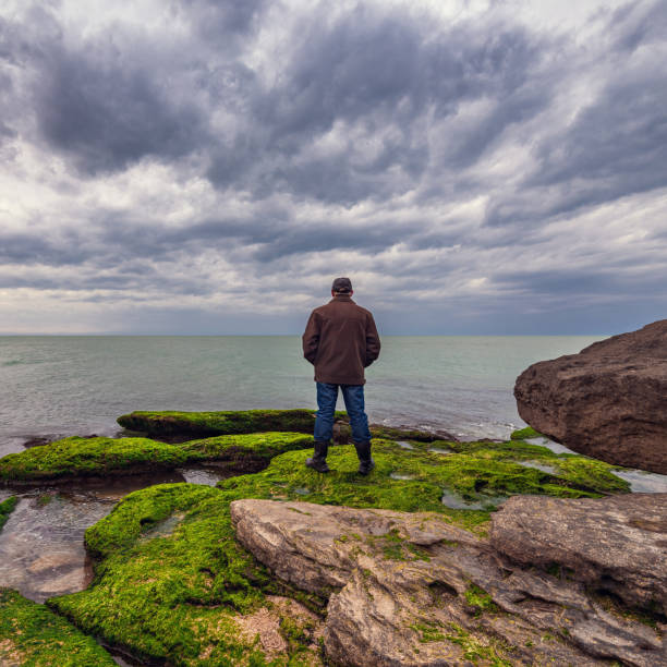 Traveler on a rocky seashore overgrown with green algae