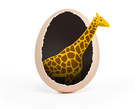 Giraffe Come From The Hole Of The Egg Stock Illustration - Image Now - Animal, Animal Egg, Chicken - iStock