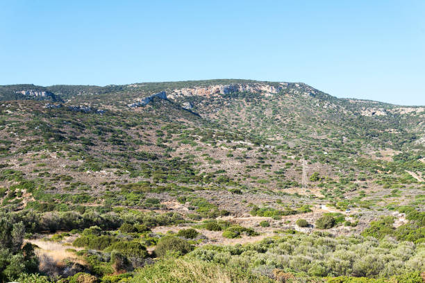 istock Hills with bushes on a Sunny day. 1131378643