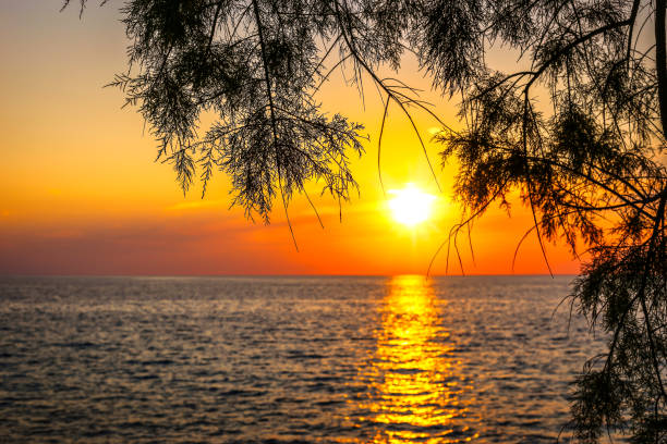 istock Beautiful sunset over the sea 1131388212