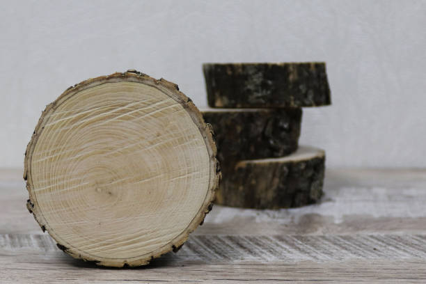 round bars of young wood