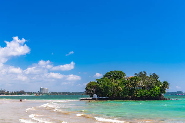 istock Weligama beach view, Sri Lanka. 1131389594