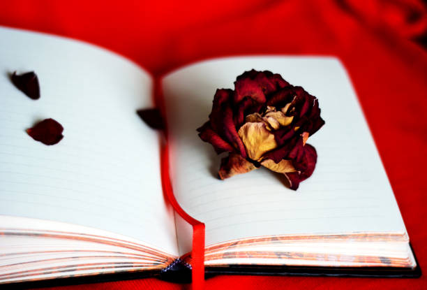 istock Rose and open note book on a table with red tablecloth. St. Valentine's Day romantic image. Greeting card. Place for text. 1131390846