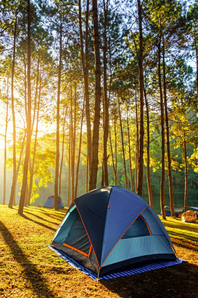 abenteuer camping und zelt unter dem pinienwald in der nähe des wassers im freien in morgen und sonnenuntergang in pang-ung, kiefernwald park, mae hong son, - zelt stock-fotos und bilder