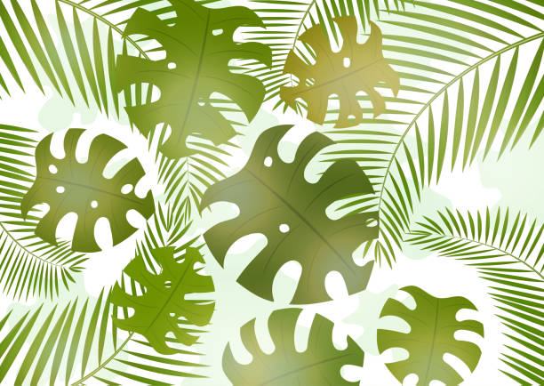 istock Bright tropical background with monster leaves and palm branches for your design. Invitation to a party in an exotic style. - Vector graphics 1131394046