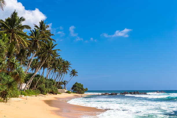 istock Beach view in Unawatuna, Sri Lanka. 1131394460