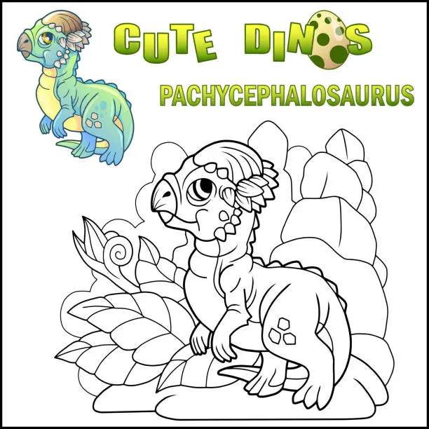 Vector illustration of cartoon little dinosaur Pachycephalosaurus, prehistoric animal, funny illustration