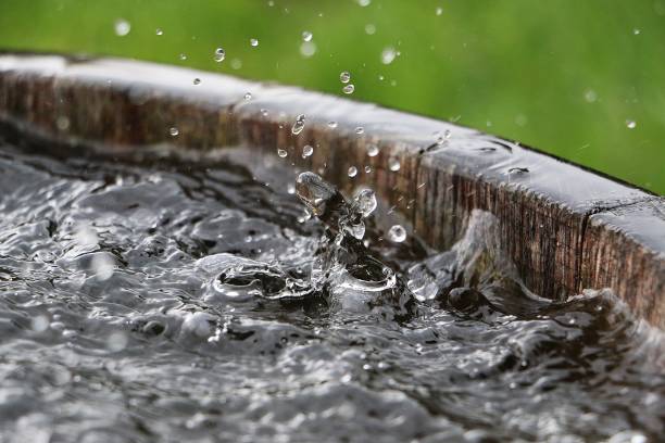 falling rain in a barrel stock photo