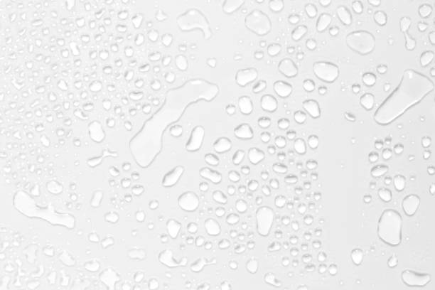 istock Abstract water droplets isolated background with white background. 1131395411