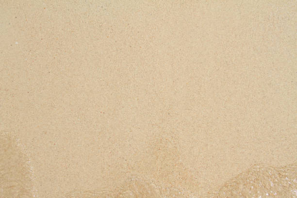 istock Soft wave of the sea on the sandy beach 1131395720