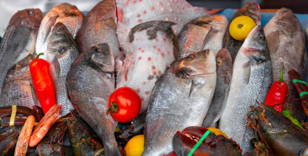 istock Different Fresh fish and seafood, lobster 1131396247