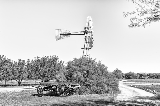 A landscape with windmill and ox-wagon at Papkuilsfontein in the Northern Cape Province of South Africa. Monochrome