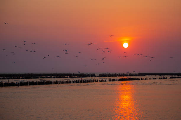 istock Seaside Landscape at SunriseSeaside Landscape at Sunrise 1131398795