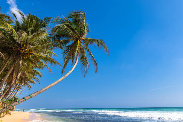 istock Beach view in Unawatuna, Sri Lanka. 1131402582